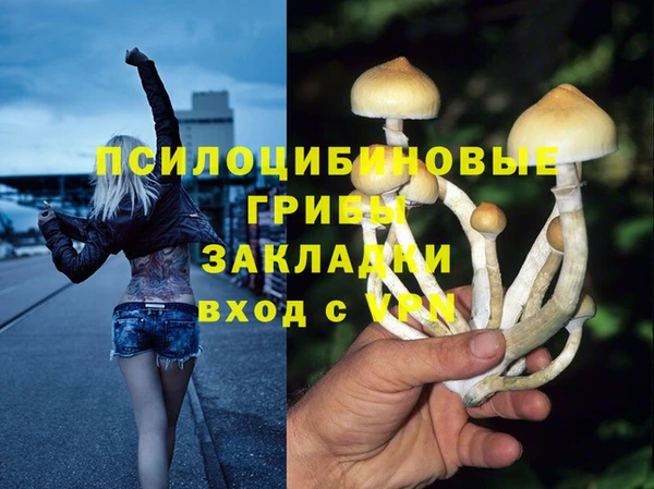 метадон Лихославль