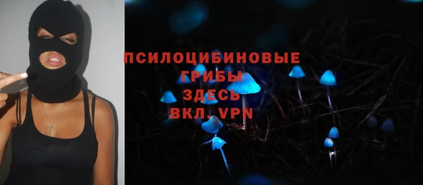 ПСИЛОЦИБИНОВЫЕ ГРИБЫ Лиски
