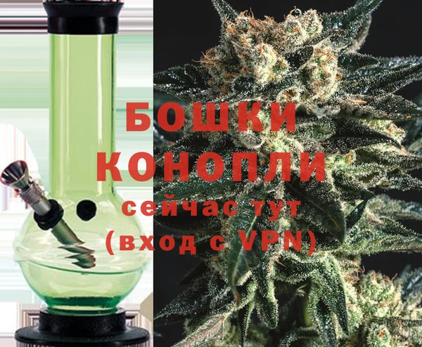 ПСИЛОЦИБИНОВЫЕ ГРИБЫ Лиски
