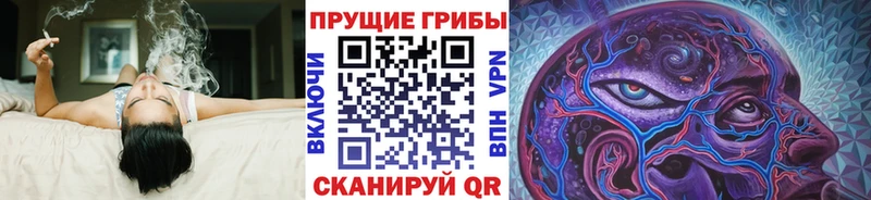 Купить где  Инта  Галлюциногенные грибы прущие грибы 